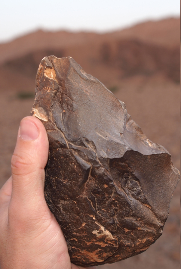  Hand holding a 300,000 year old stone tool from Jebel Hafit.